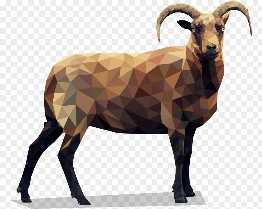 Goat Manx Loaghtan Horn Breed Farm PNG