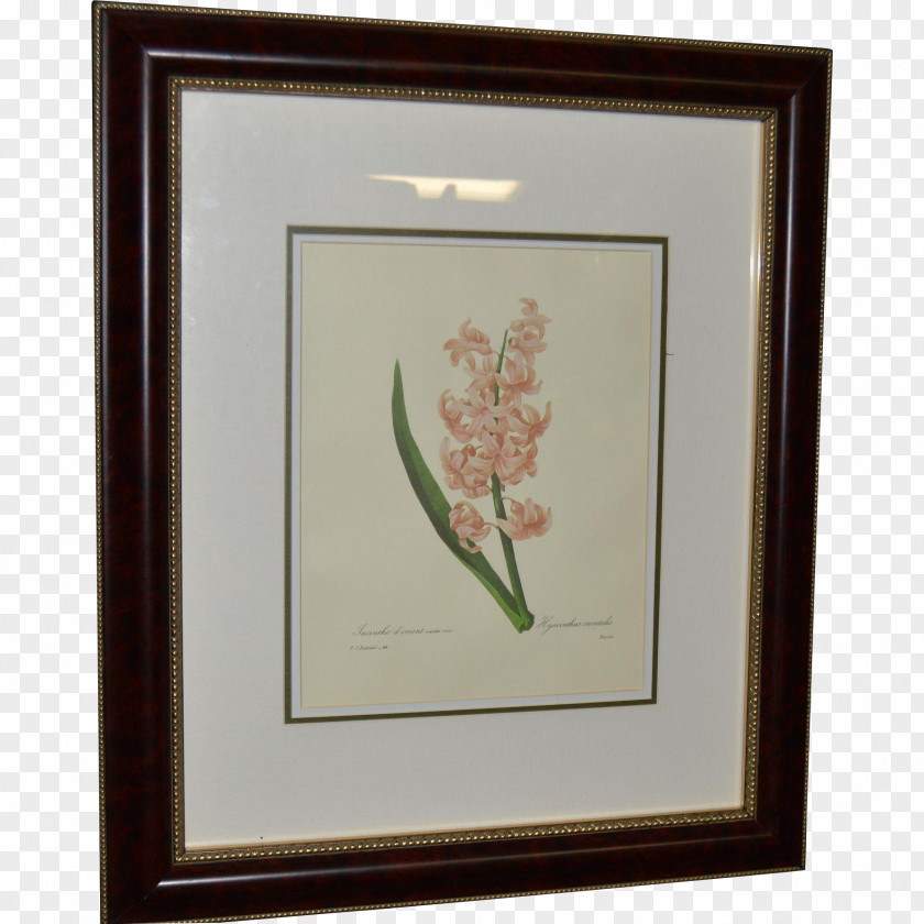 Painting Picture Frames Kunstdruck Botany Rectangle PNG