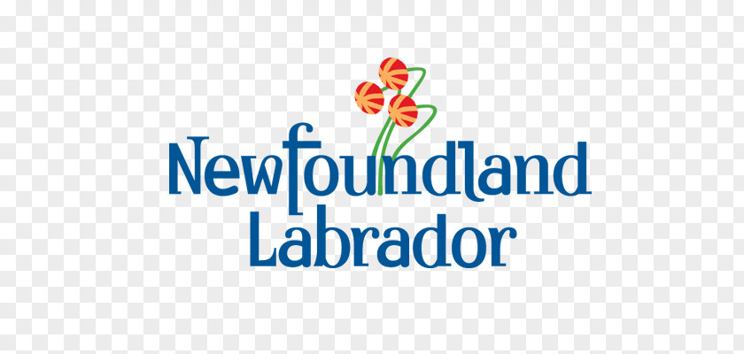 Government Program Of Newfoundland And Labrador Tax Finance Minister Hospitality & PNG