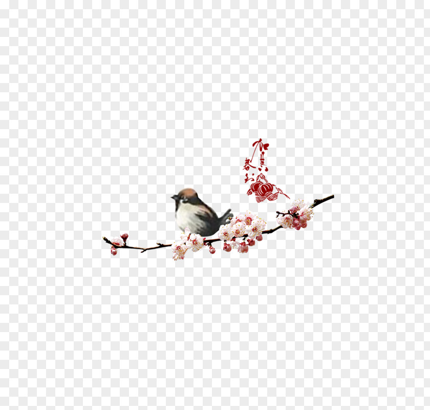 Plum Magpie New Years Day Lunar Year Typography PNG
