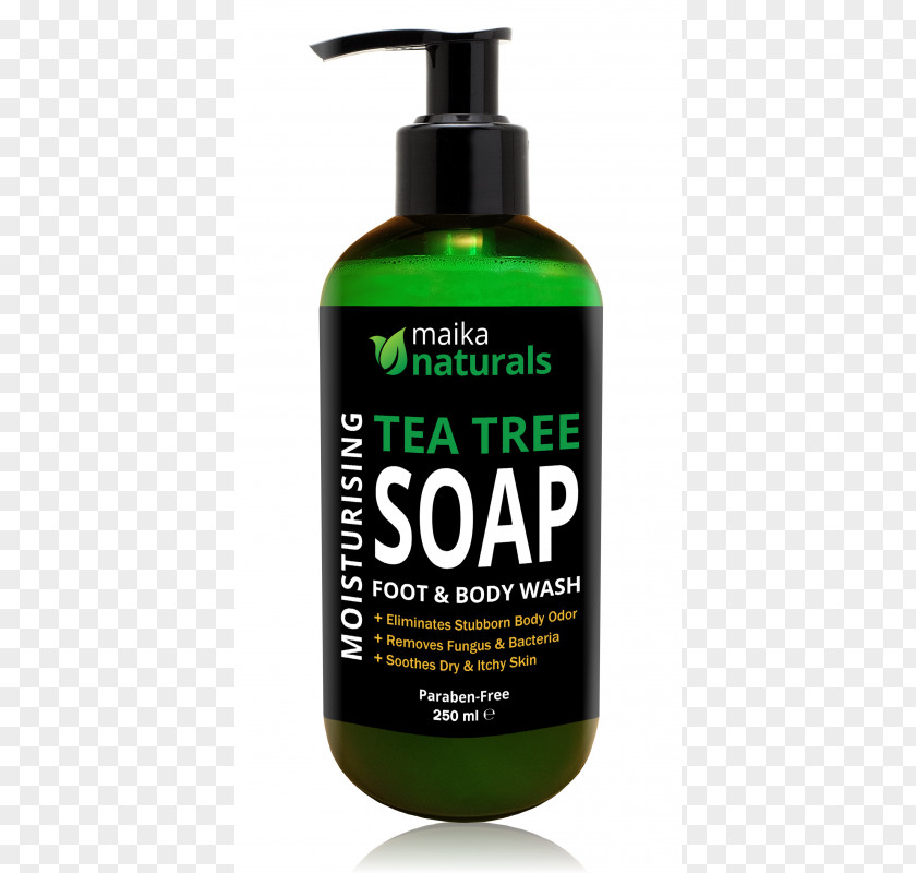 Soap Lotion Tea Tree Oil Skin Care Antifungal PNG