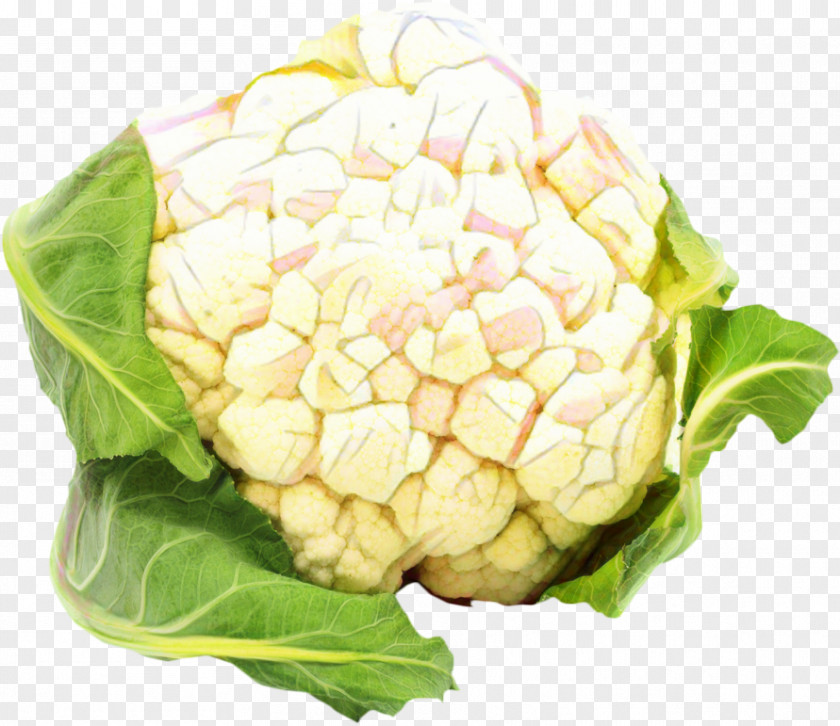 Wild Cabbage Flower Vegetables Cartoon PNG