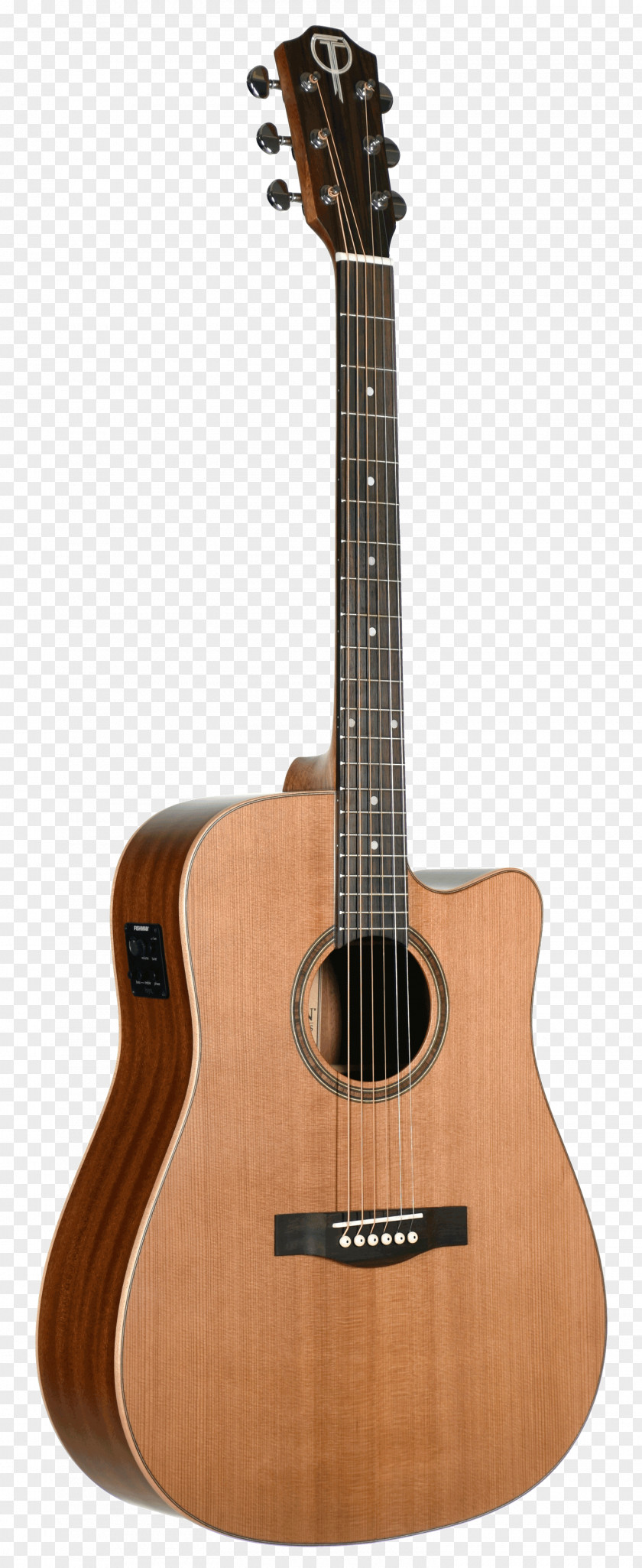 Acoustic Guitar Acoustic-electric Classical C. F. Martin & Company PNG