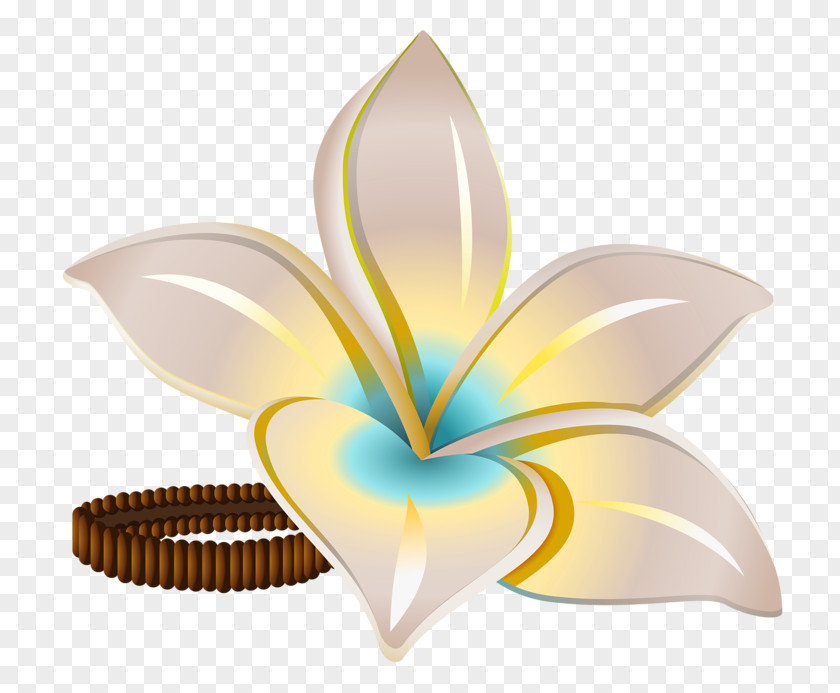 Flowers Rubber Band Flower Braid PNG