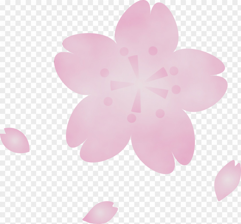 Pink Petal Flower Plant Pattern PNG