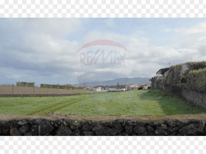 Rabo De Peixe Real Property Land Lot Pasture Estate PNG