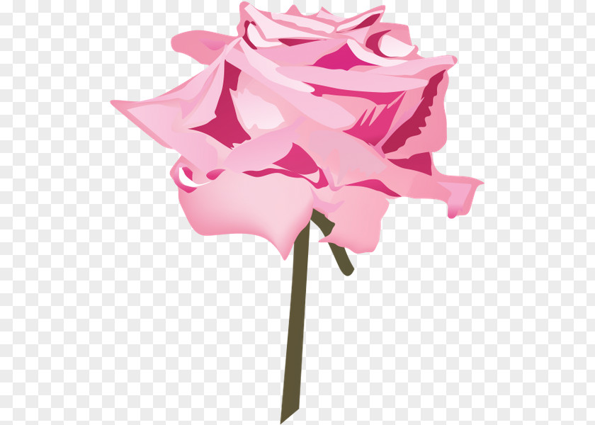 Rose Cut Flowers Floral Design Family Plant Stem PNG