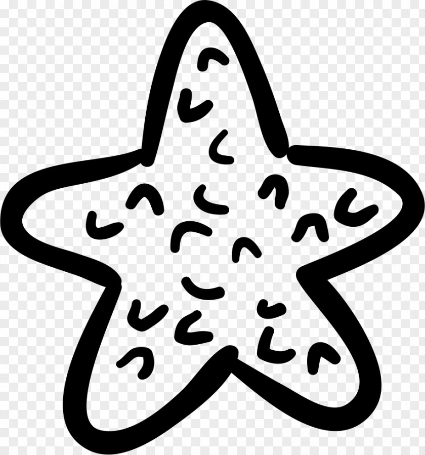 Starfish Sea Euclidean Vector Shape PNG