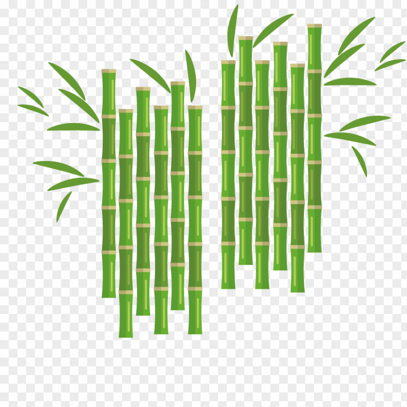 Vector Bamboo Plant Euclidean Flower PNG