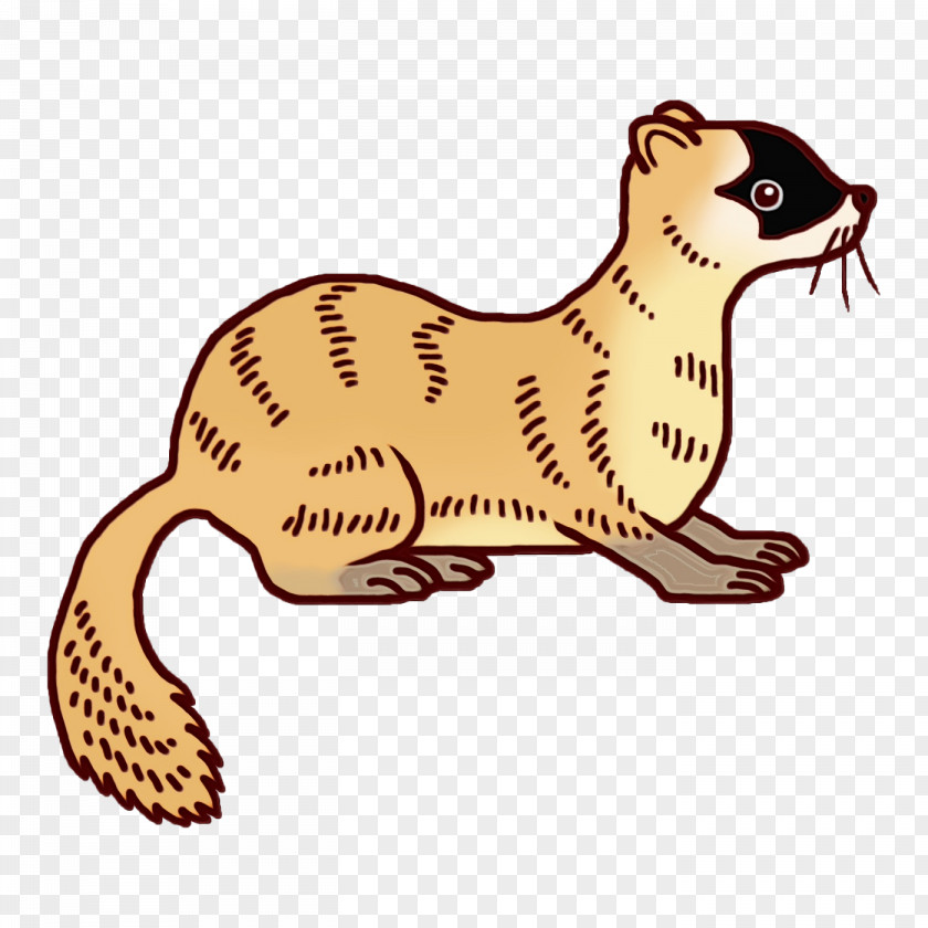 Whiskers Cat Mustelids Dog Tail PNG