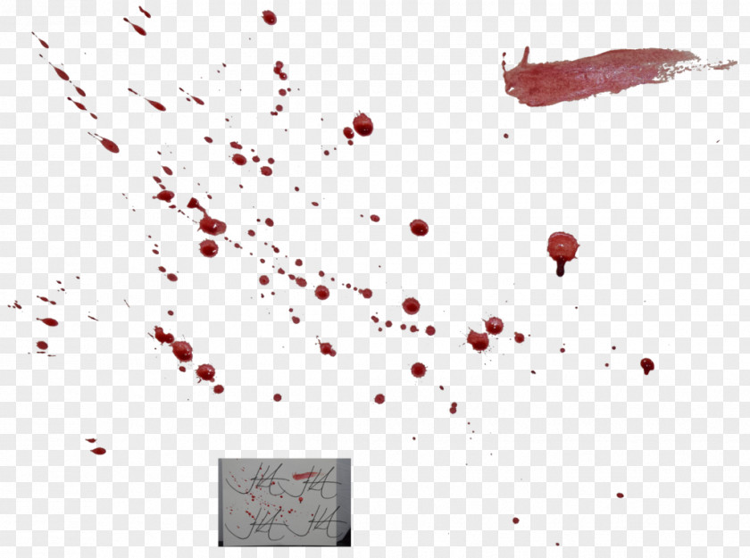 Blood Splatter Bloodstain Pattern Analysis Red PNG