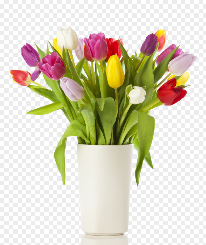Flower Stock Photography Floral Design Montessori Education Vase PNG