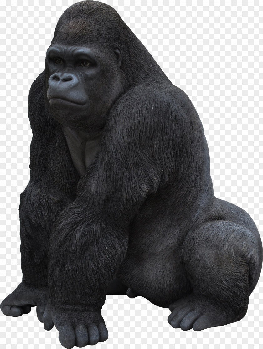 Gorilla Icon PNG