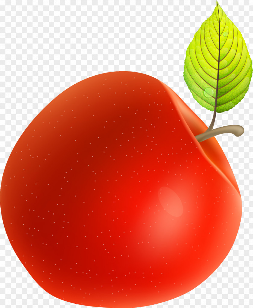 Hand Painted Red Apple Plum Tomato PNG