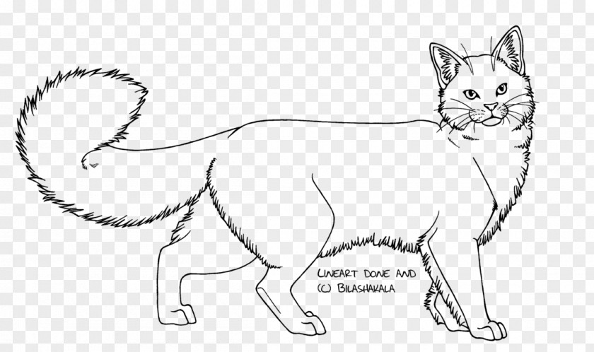 Lineart Domestic Long-haired Cat Kitten Line Art Drawing PNG
