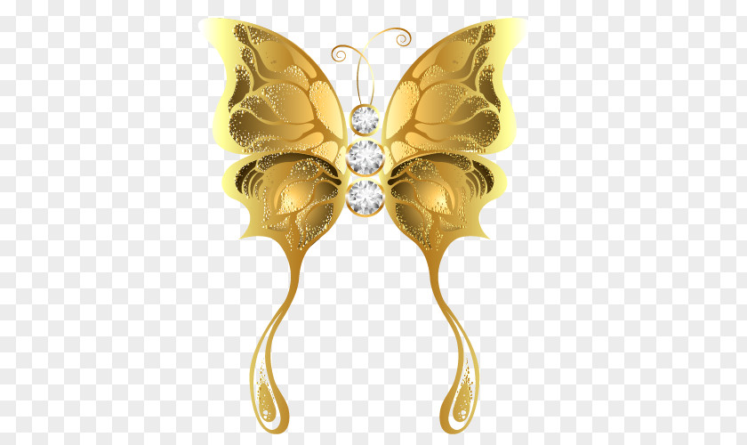 Metal Butterfly Euclidean Vector PNG