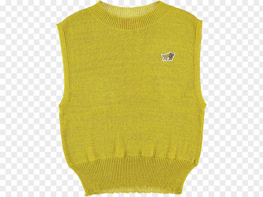 Orangebellied Parrot Gilets Sleeve Sweater PNG