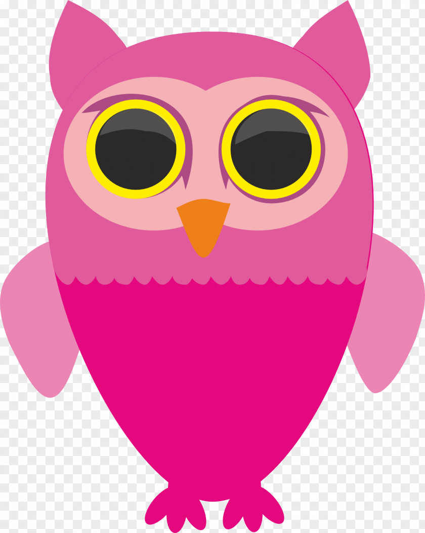 Owls Owl Bird PNG