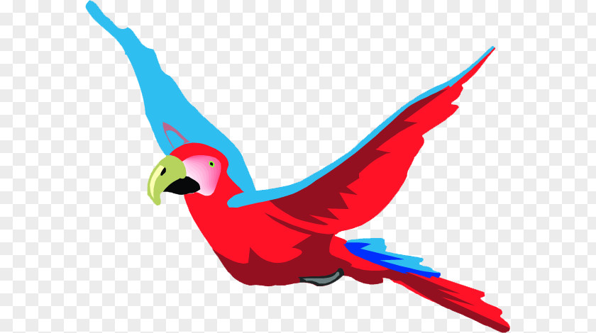 Parrot Bird Macaw Clip Art PNG