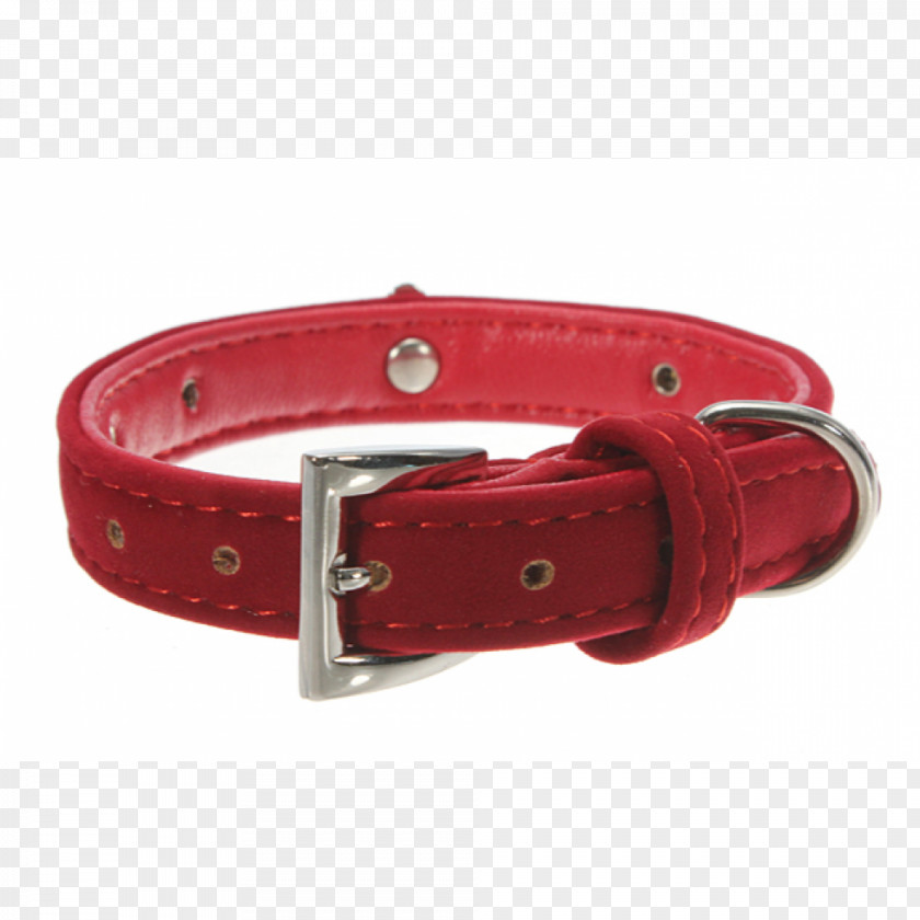 Cat Dog Collar Strap PNG