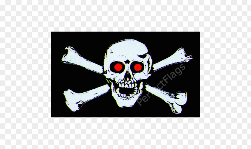 Flag Jolly Roger Skull And Crossbones Piracy Pirate101 PNG