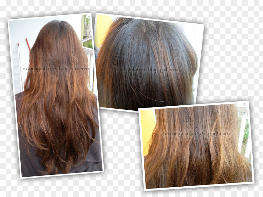 Hair Long Step Cutting Coloring Brown PNG
