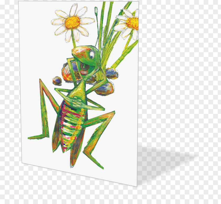 Insect Pollinator Pest Membrane PNG