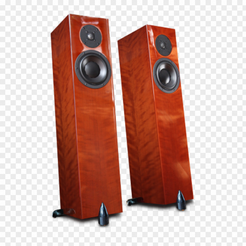 Acoustic Poster Loudspeaker Totem High Fidelity Sound Acoustics PNG
