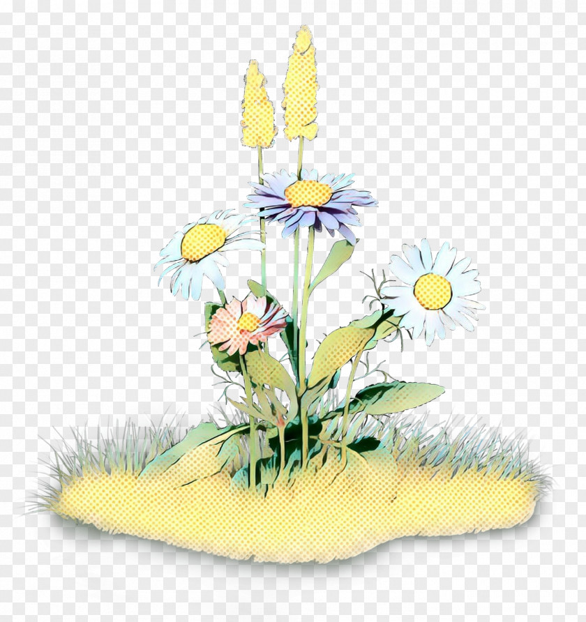 Daisy Family Centrepiece Floral Flower Background PNG