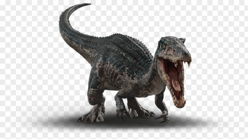 Dinosaur Baryonyx Tyrannosaurus Velociraptor Spinosaurus PNG