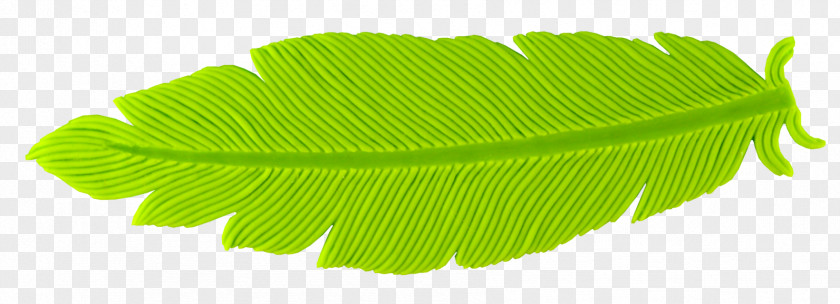 Feather Material Banana Leaf Mold Green PNG