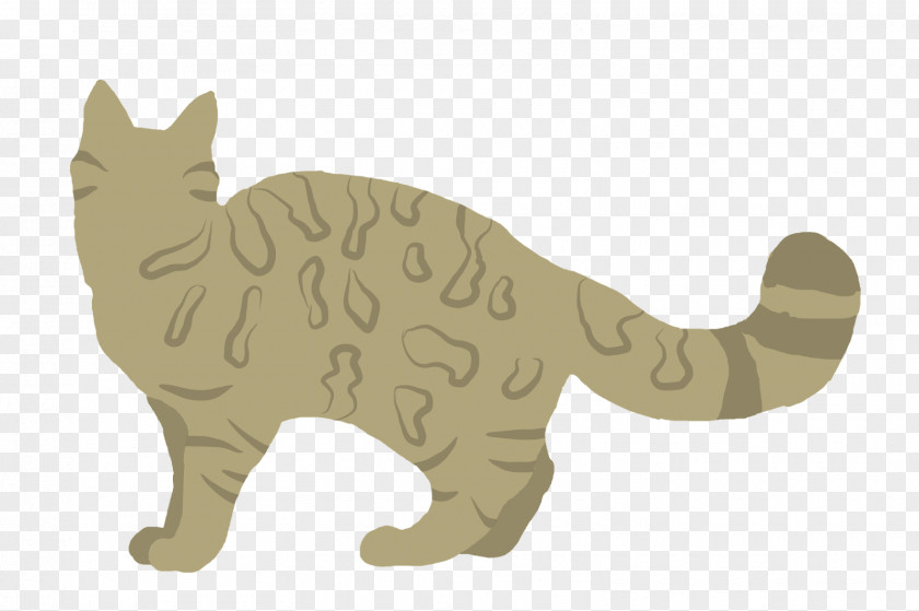 Kota Sk Whiskers Cat Tiger Mammal Dog PNG