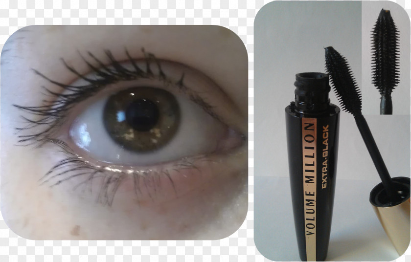 Lashes Cosmetics Eyelash Eyebrow Mascara Eye Liner PNG