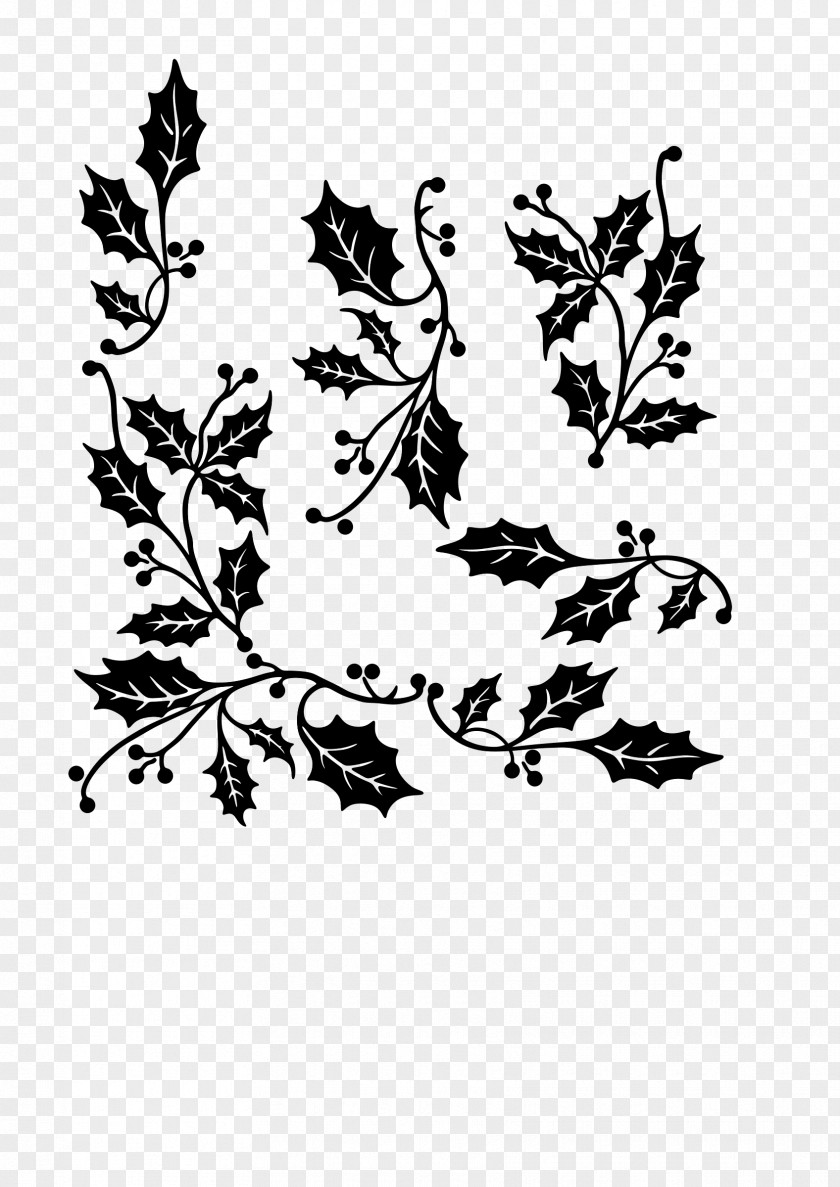 Leaf Frame Common Holly Clip Art PNG