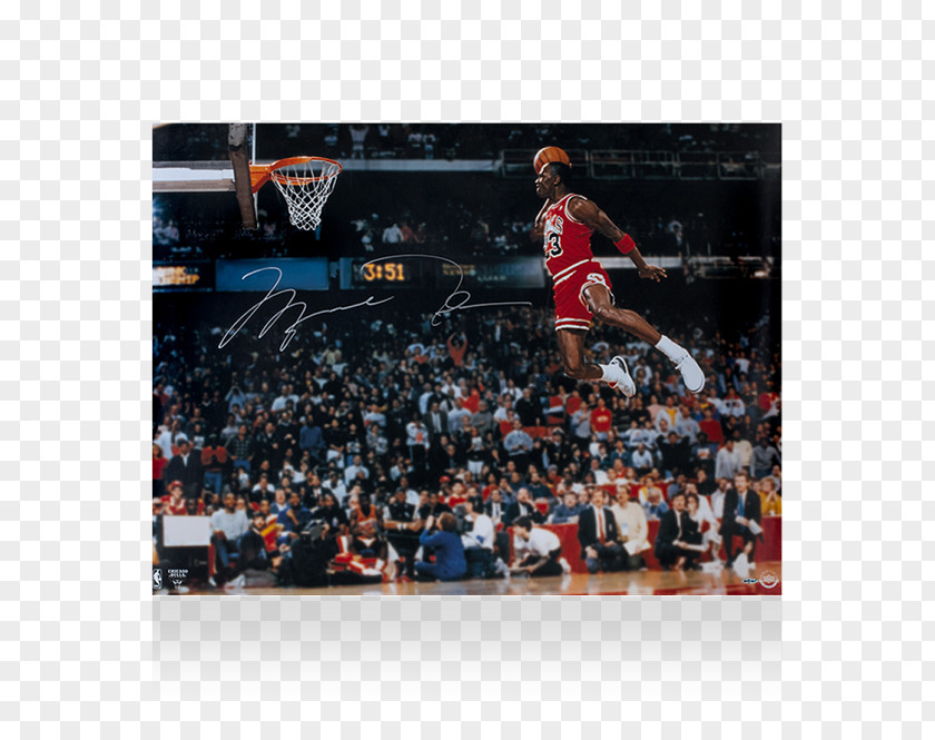 Michael Jordan Chicago Bulls Cleveland Cavaliers Washington Wizards Autograph Basketball PNG