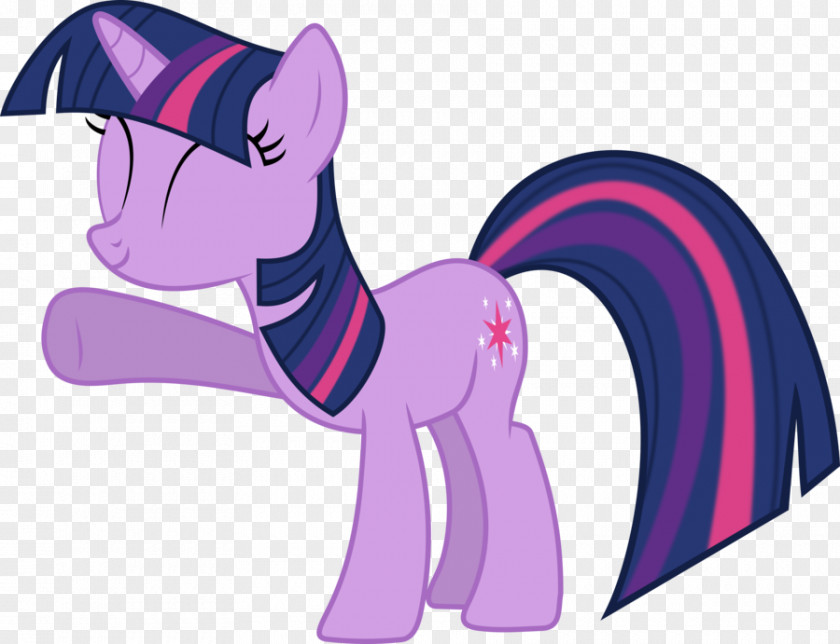 Minimalistic Vector Twilight Sparkle Pony Rainbow Dash Rarity Applejack PNG