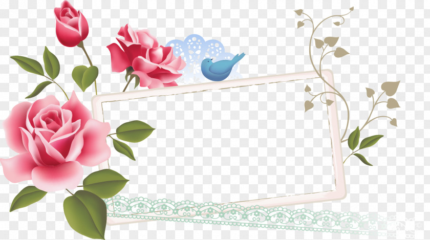 Rose Vector Graphics Flower Euclidean PNG