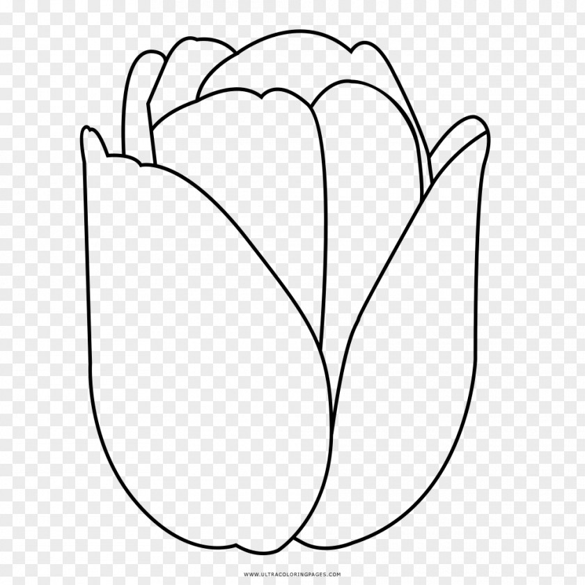 Tulip Petal Drawing Black And White PNG