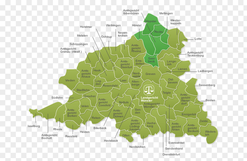 Der Direktor Landgericht Münster Amtsgericht Borken Steinfurt Ibbenbüren Ahaus PNG