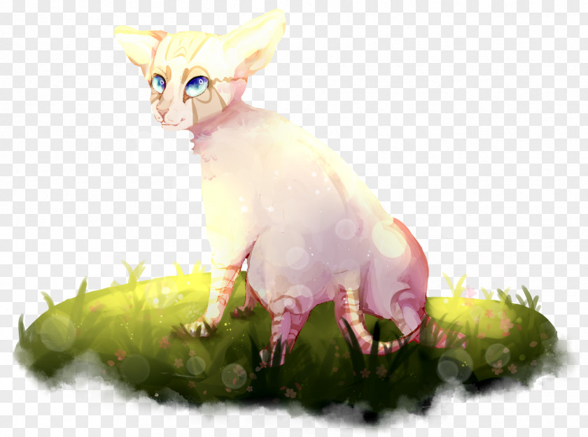 Kitten Whiskers Cat Character Tail PNG