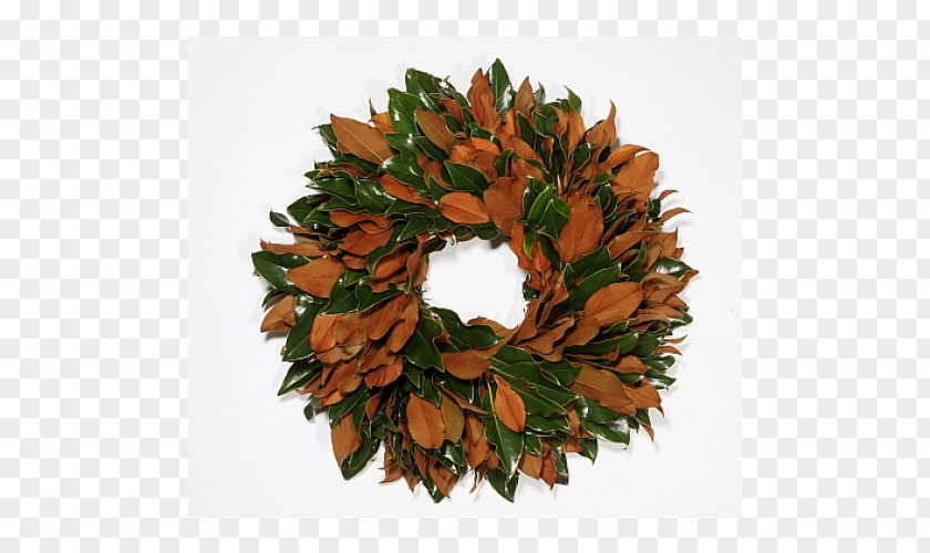 Leaf Wreath Fruit Tree Magnolia PNG