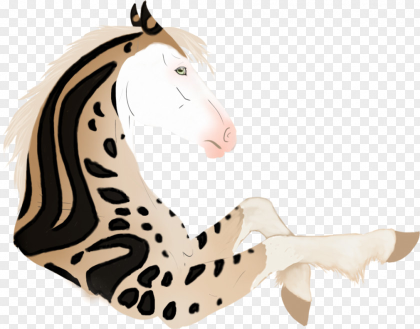 Mounted Archery Training Cat Tiger Horse Product Mammal PNG
