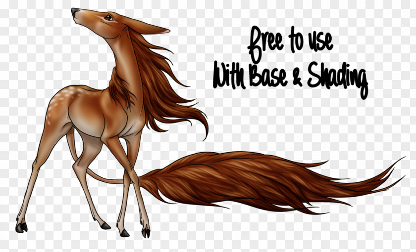 Mustang Deer Freikörperkultur Cartoon PNG
