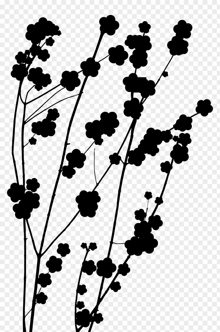 Twig Plant Stem Flower Leaf Pattern PNG