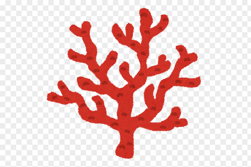 Watercolor Coral Reef いらすとや Red PNG