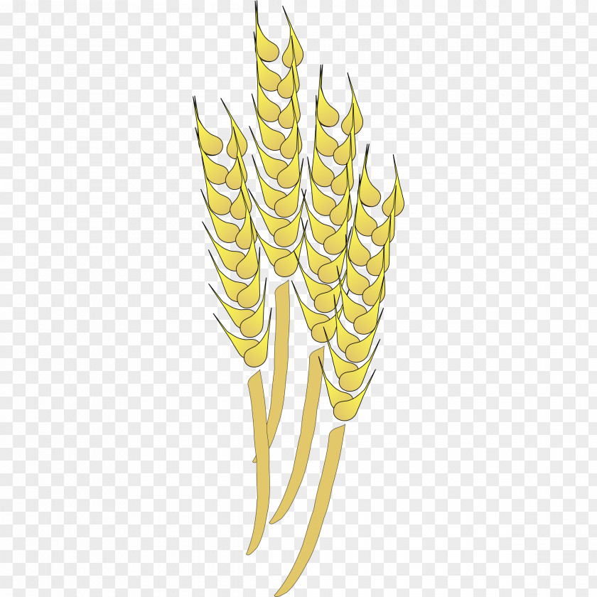Wheat Cereal Clip Art PNG