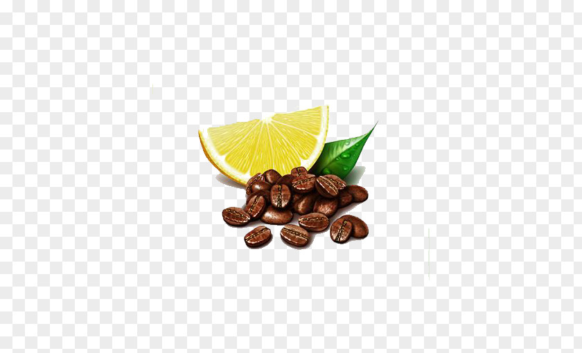Coffee Bean Illustration The & Tea Leaf Espresso Cafe Lemon PNG