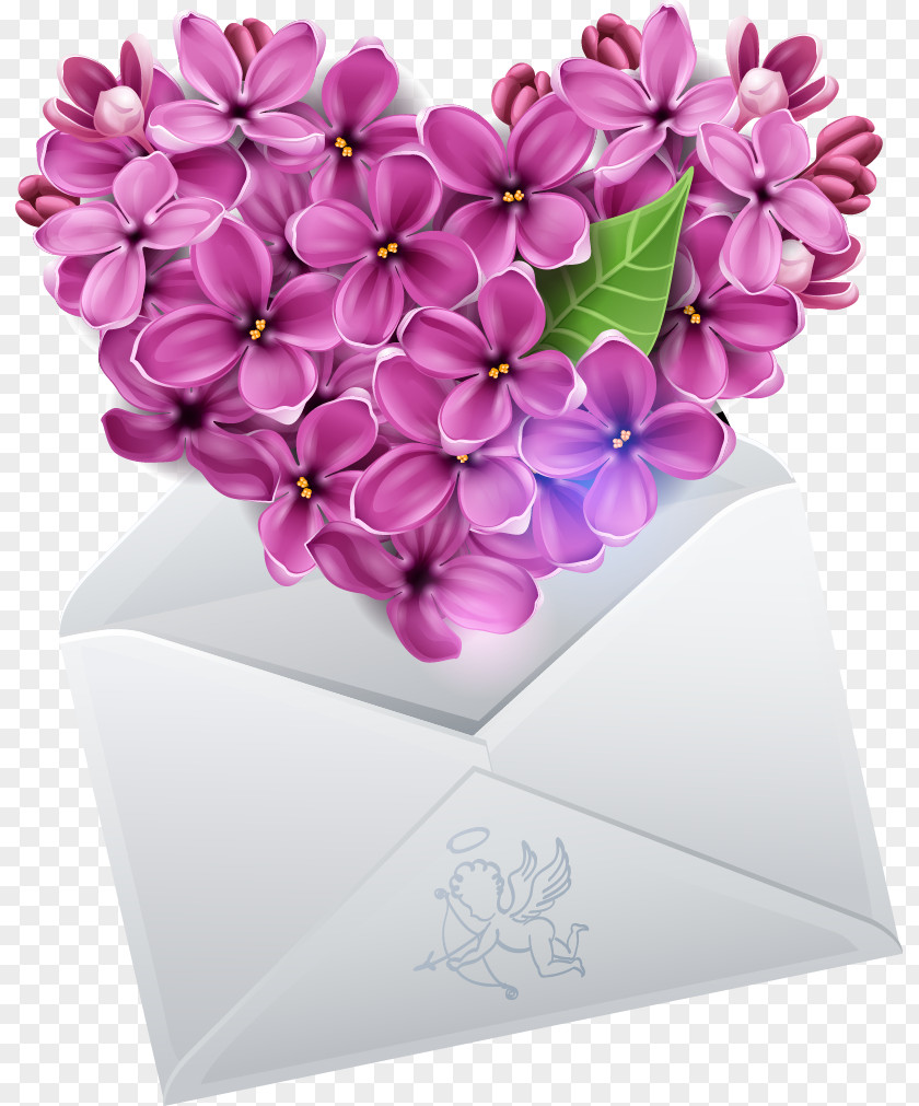 Exquisite Heart-shaped Orchid Envelope Lilac Clip Art PNG