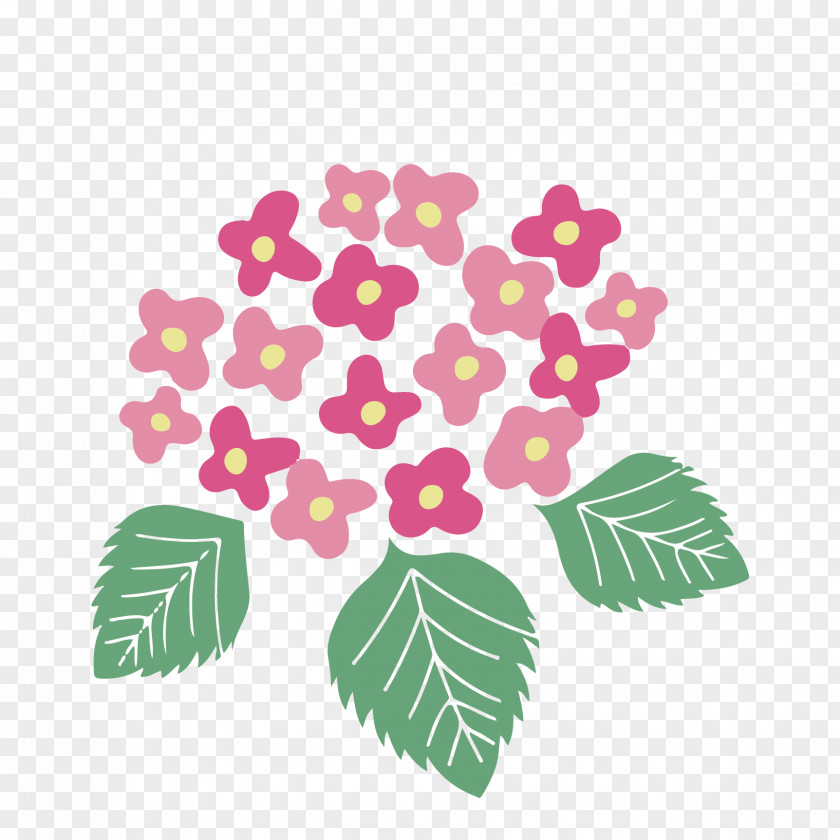 Flower Illustration French Hydrangea Petal East Asian Rainy Season PNG