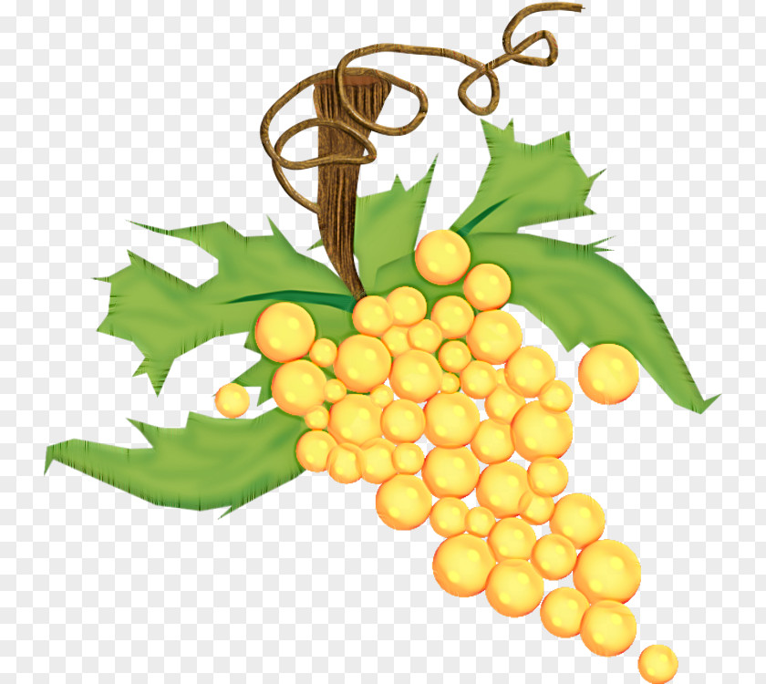 Grape Leaf Grapevine Family Plant Fruit PNG